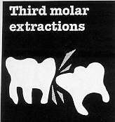 wisdom.jpg (19676 bytes)